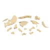Demolition Puzzle Science Triceratops Restoration Puzzle