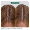 Biolage Scalp Sync Calming Shampoo/Scalp Sync Universal Conditioner 33.8 oz