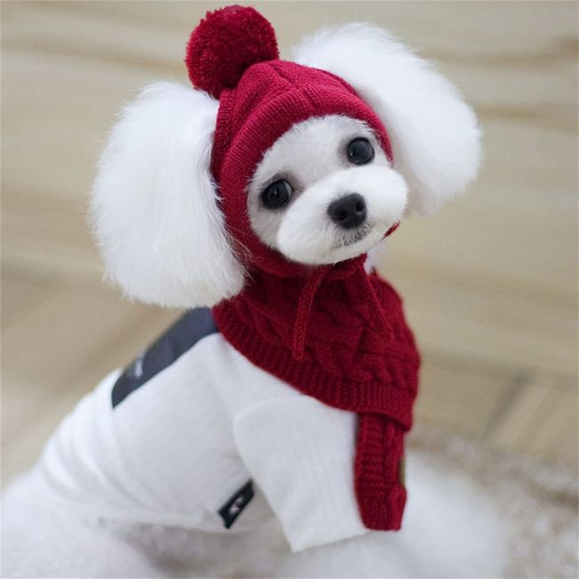 Mütze Kleine Hund Wintermütze mit Ohrlöchern Hundemütze Schal Set Welpe Strickmütze Winter Herbst Hundehut mit Pompon Haustiermütze Warm Hundekostüm Verstellbar Haustiermütze Weihnachten Geschenk