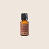 Aromatique Cinnamon Cider Fragrant Refresher Oil .5 fl oz