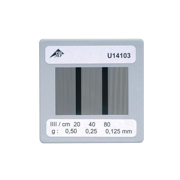 3B Scientific U14103 Diaphragm With 3 Ruled grating
