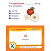 Subject & Verb Agreement Learning Center Game - Grades 6-9