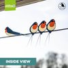 Swallows Bird Window Clings | Colourful Window Decals to Prevent Bird Strikes | Double-Sided