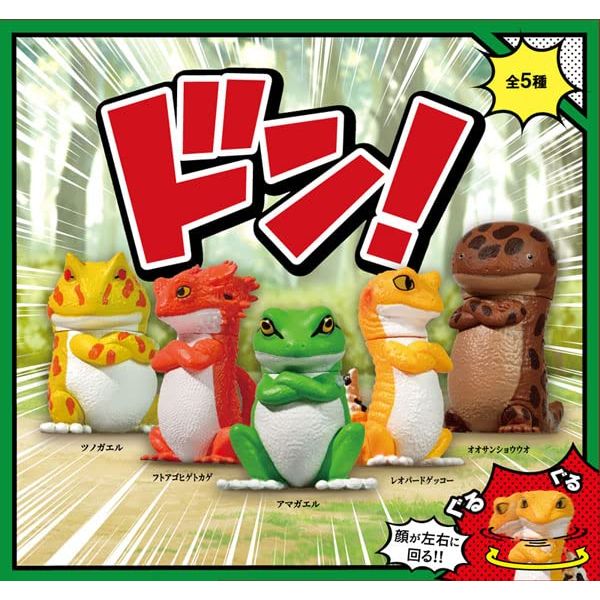 Don! Box of 10