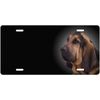 Dachshund - Personalized FREE Custom License Plate Frame Auto Tag - Dog 