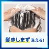 Success No Rinse Medicinal Shampoo 13.5 fl oz (400 ml) [Quasi-drug] Abra Wax Nioi Instant Cleaning, No Hair Lining, Aqua Acitrus Scent 13.5 fl oz (400 ml)