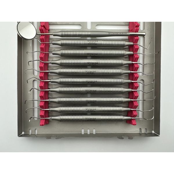 SR Dental Complete Dental Hygiene Kit - Ten Instruments and Cassettes.