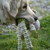 Petface Chubby Chimp Plush Dog Toy,Green