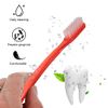 HEALLILY Hard Bristles Toothbrush Durable Practical Cleaning Toothbrush for Daily Use 12pcs