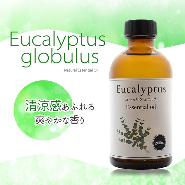Natural 100% Eucalyptus Globulus Oil 200ml Aroma Oil Eucalyptus