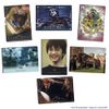 Harry Potter 20 Year Anniversary Box