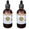 Mexican Tarragon (Tagetes Lucida) Liquid Extract 2x4 Oz