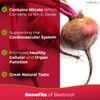 BEET BOOST With Tart Cherries for Daily Circulation Support