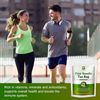 Organic Pine Needle Tea Bags Fresh Bag Improve Sleeping