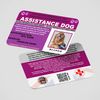 Assistance Dog Law Card in Purple with QR Code