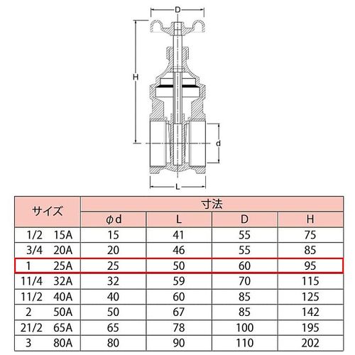 MF Gate Valve 25A