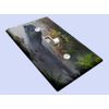 T Rex in the Mist Switchplate - Switch Plate Cover