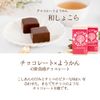 Ryoheido Popular Sweets, Chocolate, Chocolate, Chocolate, Individual Packaging, Single Item, Mini Bite