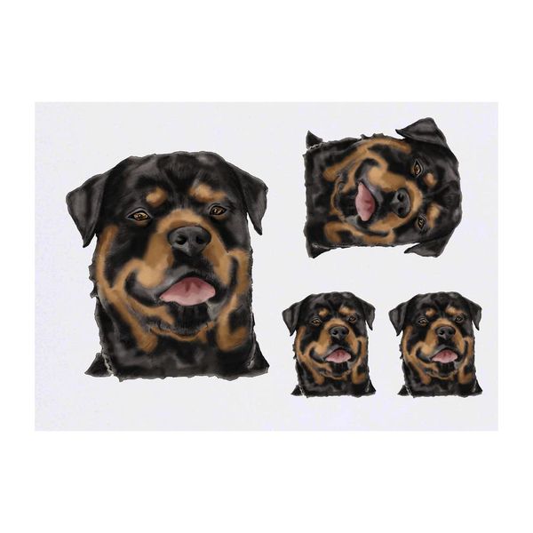 4 x 'Rottweiler' Temporary Tattoos (TO00049319)