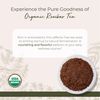 Starwest Botanicals Rooibos Tea Organic - Red Rooibos Herbal Tea Loose Leaf, Caffeine Free, Source of Antioxidants, Cut & Sifted, Certified Kosher, Non GMO - Bulk 1 lb Bag