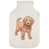 'Cavapoo Dog ' Hot Water Bottle Cover (HW00028832)
