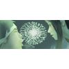 Mind Game (Blu-ray)