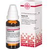 Baptisia D6 DHU Dilution, 20 ml Lösung
