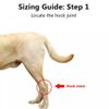 DOG REAR LEG HOCK BRACE,  DOG LEG JOINT WRAPS COMPRESSION PACK 2