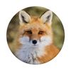 Fox PopSockets Swappable PopGrip