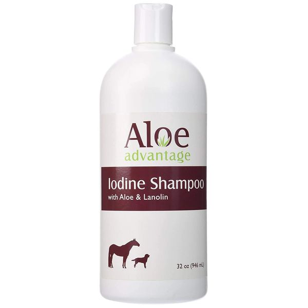 Durvet Aloe & Lanolin Advantage Iodine Pet Shampoo 32oz