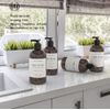 Muse Bath Apothecary Hand Ritual - Aromatic and Nourishing Hand Soap, Infused with Natural Aromatherapy Essential Oils - 16 oz, Aloe + Eucalyptus + Lavender, 2 Pack