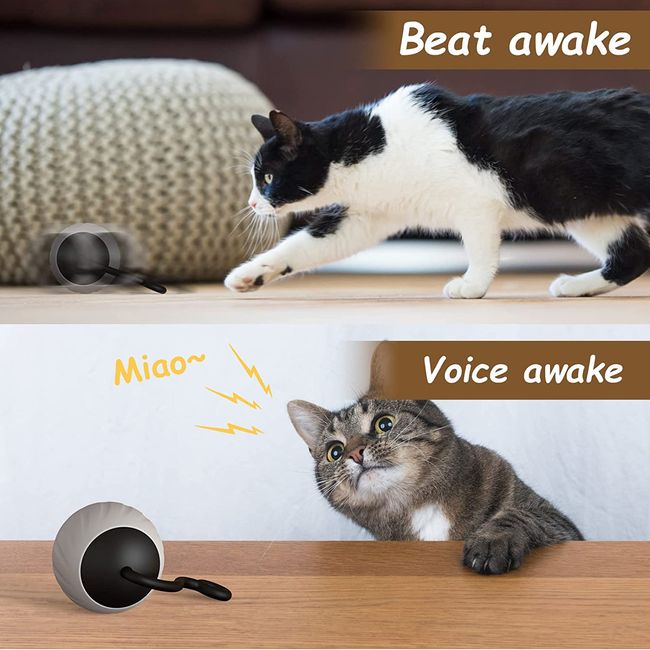 ATUBAN Interactive Cat Toys for Indoor Cats, Feather and Ball Cat
