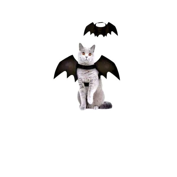 Pet Cat Bat Costume Wings for Halloween Party Decoration Cat Dress Up Accessorie