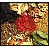 INTUITION Intention Spell Kit ~ Herbs / Salt / Palo Santo / Crystal