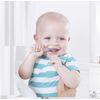 Radius Pure Toothbrush (6-18 Months) (Single Item) for Toddlers and Toddlers