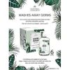Hand Wash 6-Pack / 8 oz Pump Bottles