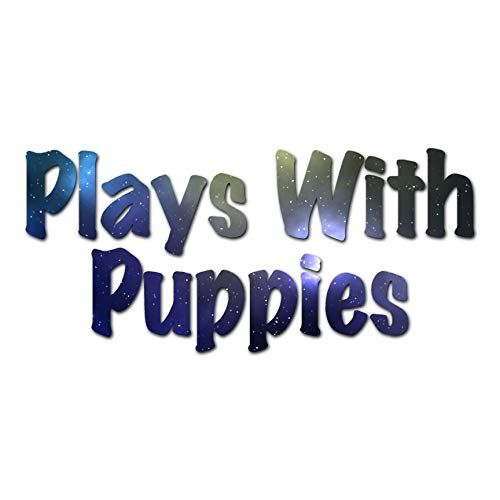 Plays With Puppies - Vinyl Decal Sticker - 17" x 7.75" - Galaxy