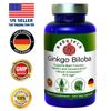 Ginkgo Biloba Brain Support – Natural Supplements for Memory, Focus, and Mental