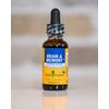 Herb Pharm Organic Nootropic Brain & Memory Supplement with Ginkgo Biloba Liquid Extract: Fast Absorption for Mental Focus Support, Ginkgo Supplement, Vegan, Gluten-Free, Non-GMO, 1 Oz