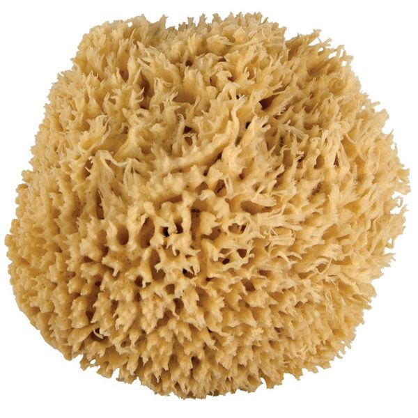 JUST Whoa. Ultra Soft & Really Big "Sea Wool" Bath Sponge