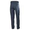 Helly Hansen Men's Quick-Dry Cargo Pant, 597 Navy, 34