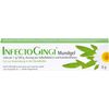 Infectogingi Mouth Gel
