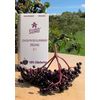 Organic elderberry concentrate 5:1, 118 ml