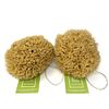 12CM Sea Sponge Unbleached Honeycomb Natural Seasponge for Bath Use, for Baby, or Art use (S Size 10-12 cm)