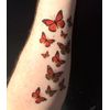 55 Monarch Butterfly Temporary Tattoos
