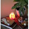 Himalayan Salt Aroma Lamp with Glass Diffuser & 3 Essential Oils -  Spa Gift Set