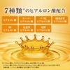 Hada Labo Gokujun Premium Hyaluronic Liquid Lotion Refill, 6.1 fl oz (170 ml) (x 1)