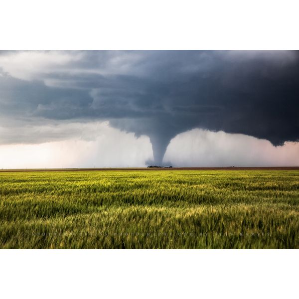 Storm Photography Print (Not Framed) Picture of Tornado Passing Behind Farmhouse and Wheat Field in Kansas Thunderstorm Wall Art Nature Decor (4" x 6")