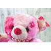 Takeoff KAWAII Bear MoMo Plush Musical Box S