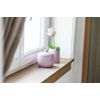 Wenko"The Collection Toothbrush Tumbler, polyresin Pink, 8 x 8 x 10 cm